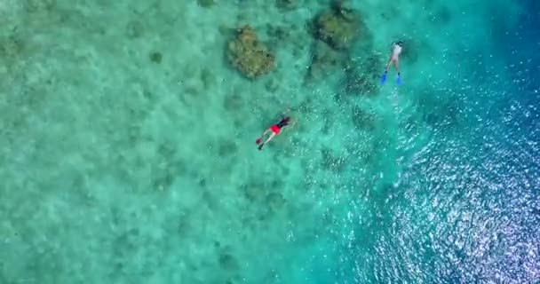 Persone Che Fanno Snorkeling Mare Usando Maschere Pinne Viaggio Estivo — Video Stock