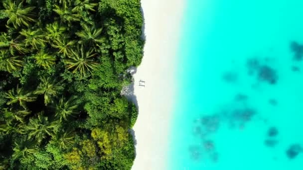 Ovanifrån Strandlinjen Med Gröna Träd Naturen Gili Trawangan Indonesien — Stockvideo
