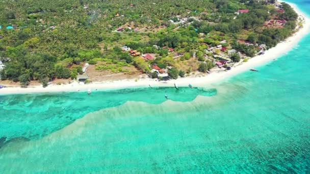 Costa Turquoise Durante Día Viaje Barbados Caribe — Vídeo de stock