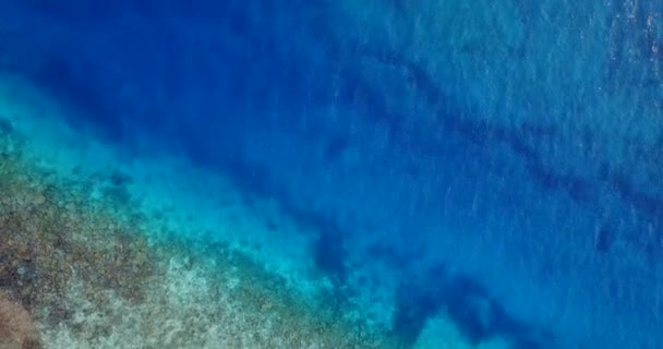 Γαλήνιο Φόντο Στην Κυματιστή Θάλασσα Ηλιόλουστη Φύση Του Μπαρμπάντος Καραϊβική — Αρχείο Βίντεο