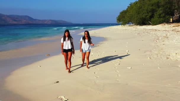 Dos Mujeres Con Mochilas Caminando Playa — Vídeo de stock