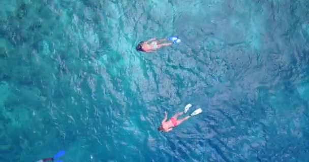 Folk Snorklar Öppet Hav Sommar Semester Scen Filippinerna Asien — Stockvideo