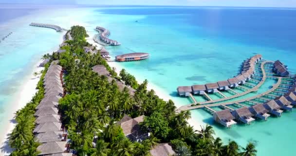 Exotisch Karakter Van Bora Bora Frans Polynesië — Stockvideo