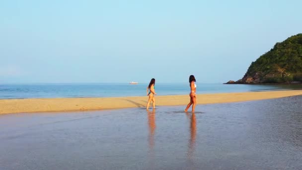 Dos Amigas Jóvenes Bikini Caminando Por Costa Del Mar Día — Vídeos de Stock