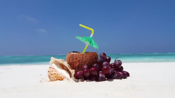 Coconut Drink Beach Idyllic Nature Bali — Stock Video