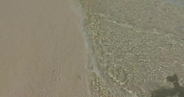 Vindstilla Vågor Vid Stranden Sommaren Koppla Bali Indonesien — Stockvideo