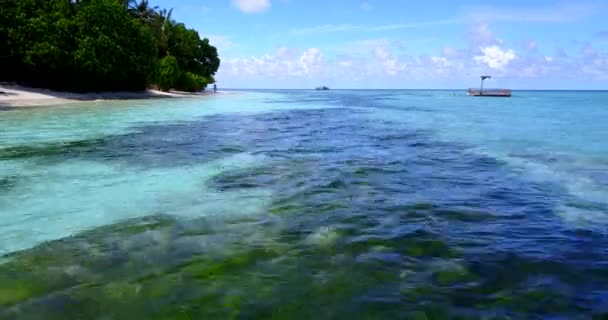 Rustig Uitzicht Zee Geweldige Natuur Van Dominicaanse Republiek Caribisch Gebied — Stockvideo