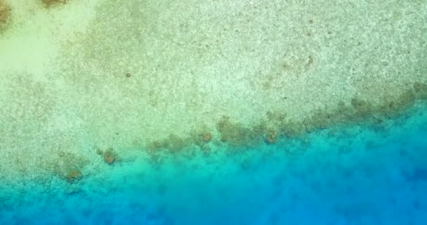 Vibrante Vista Sulla Costa Paesaggio Estivo Delle Maldive — Video Stock