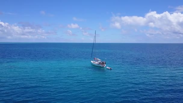 Kijkend Naar Een Gladde Blauwe Zee Exotische Reis Naar Barbados — Stockvideo