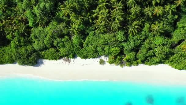Tropický Ostrov Jasně Tyrkysovém Moři Užívání Přírody Bali Indonésie — Stock video