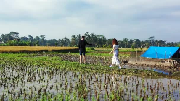 一对夫妇在稻田里散步的视频 — 图库视频影像