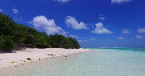 Eau Peu Profonde Sur Côte Paradis Tropical Barbade Caraïbes — Video