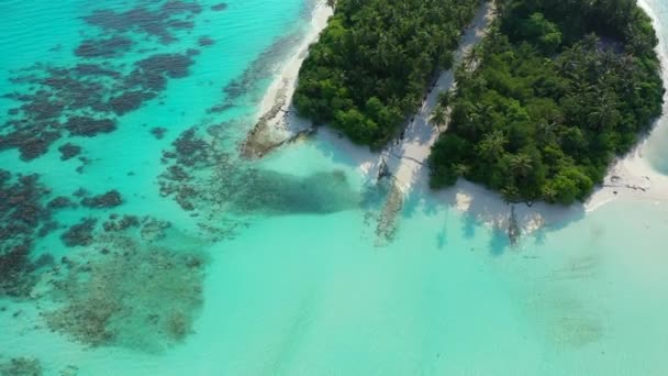 Observeren Van Het Zeegebied Zomer Tropische Scene Dominicaanse Republiek Caribisch — Stockvideo
