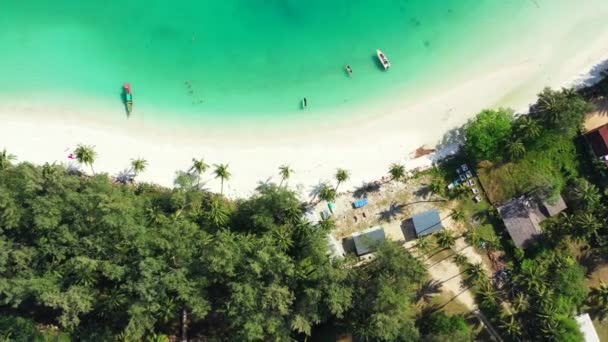 Resor Musim Panas Tropis Pulau Ini Cerah Alam Barbados Karibia — Stok Video