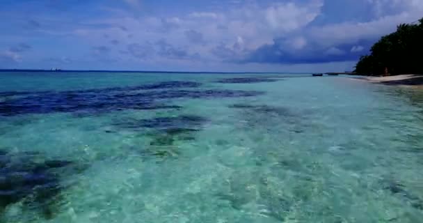 小さな波と海岸線 バリ島の夏の海の景色 インドネシア — ストック動画