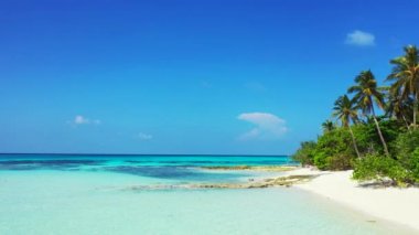 Sahilde sığ su. Bali 'nin tropikal doğası.