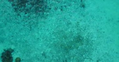 Dalgalanan deniz suyu - doğal arka plan. Tayland 'a yaz yolculuğu.