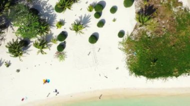 Güneşli gündüz marinası. Endonezya, Bali 'de tropik bir manzara.  