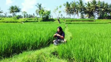 Genç Asyalı kızın tropikal adanın yeşil güzel tarlasında çekilmiş görüntüleri. 