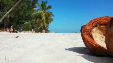 Yeşil tropikal adaya yakından bak. Bahamalar Doğası, Karayipler.