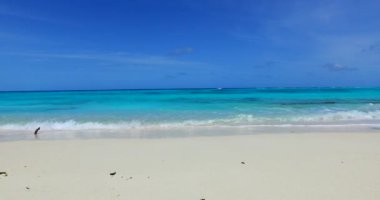 Sahilde sakin bir deniz. Bahamalar cennet sahnesi, Karayipler.