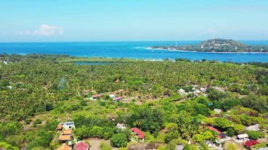 Gündüz denizcisi. Endonezya, Bali 'de tropik bir manzara.   