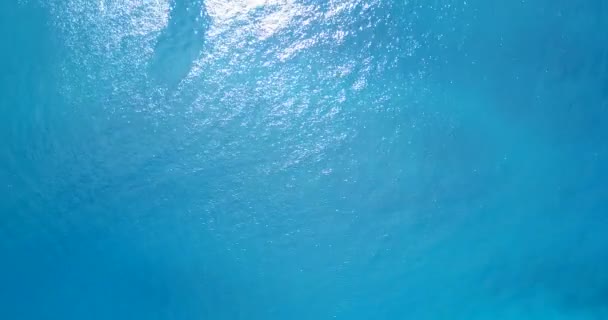 Zedrążona Powierzchnia Morza Tropikalny Raj Bora Bora Polinezja Francuska — Wideo stockowe