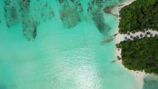 Vista Aérea Isla Bordeada Mar Turquesa Brillante Disfrutando Vacaciones Tropicales — Vídeo de stock