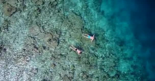 Pessoas Snorkeling Água Mar Quente Natureza Tropical Das Bahamas Caribe — Vídeo de Stock