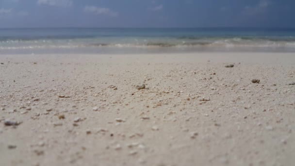 Lado Playa Paisajes Naturales Antigua — Vídeos de Stock