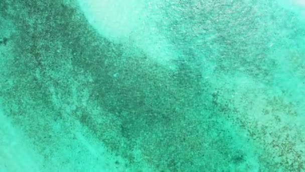 Şeffaf Akuamarin Üzerinde Mercan Tabanlı Sığ Üzerinde Uçan Dron Polinezya — Stok video