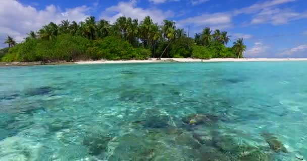 海辺で初夏の朝 バリ島の海の景色 — ストック動画