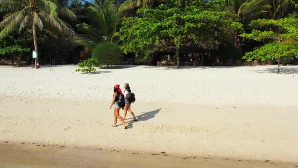 Imágenes Arriba Dos Amigas Caminando Por Playa — Vídeos de Stock