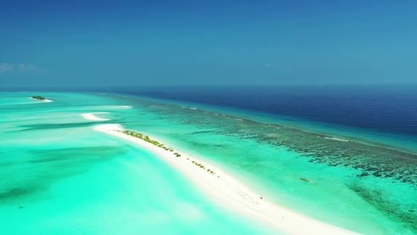 Bright Turquoise Seascape Summer Relax Bora Bora French Polynesia — Stock Video