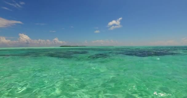 Close View Rippling Water Beach Summer Travel Antigua — Stock Video
