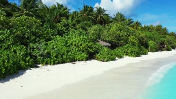 Beach Side Morning Enjoying Nature Dominican Republic Caribbean — Video Stock