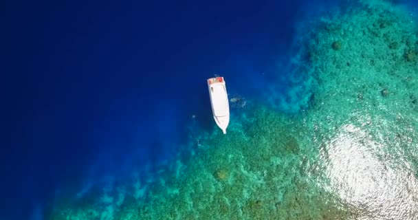 Gündüz Gözüyle Deniz Kenarı Endonezya Bali Deki Doğa Manzarası — Stok video