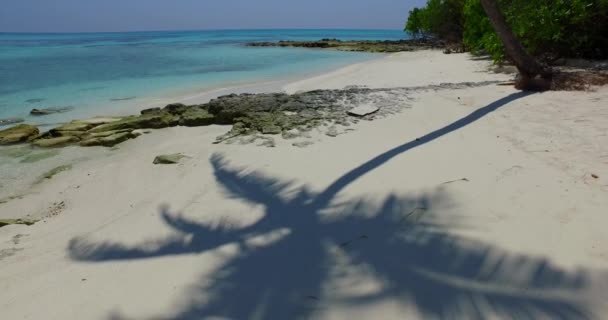 Zone Littorale Ensoleillée Nature Exotique République Dominicaine Caraïbes — Video
