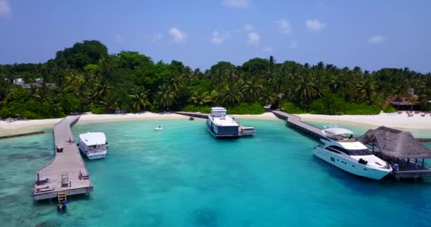Letecký Pohled Video Pobřežních Ostrovů Bílou Písečnou Pláží Suché Palmové — Stock video