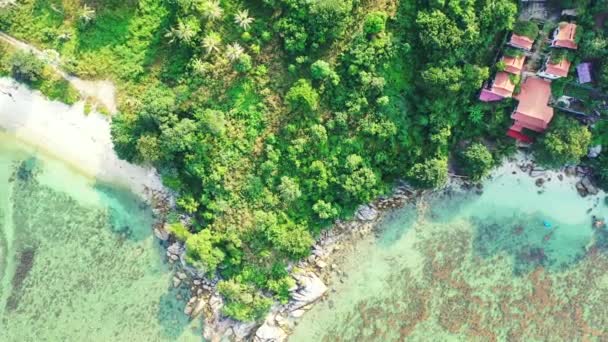 Góry Skaliste Wybrzeżu Zielonymi Drzewami Egzotyczny Charakter Bora Bora Polinezja — Wideo stockowe