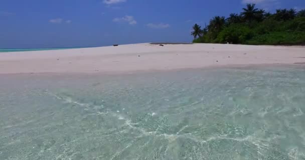 午前中の海岸線 バリ島の熱帯性 — ストック動画