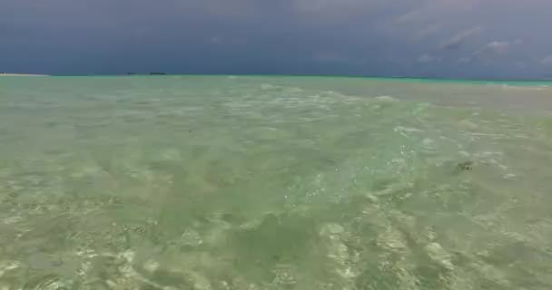 Kryształowa Woda Rano Tropikalny Raj Barbadosu Karaiby — Wideo stockowe