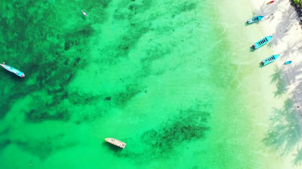 Bovenaanzicht Groen Ondiep Water Met Boten Zomer Landschap Dominicaanse Republiek — Stockvideo