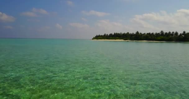 Vede Ostrov Stromovém Moři Letní Dovolená Austrálii Oceánie — Stock video