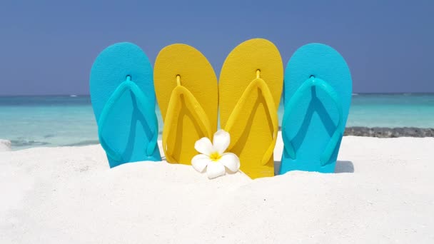 Tongs Bleues Jaunes Avec Fleur Plumeria Sur Plage Voyage Tropical — Video