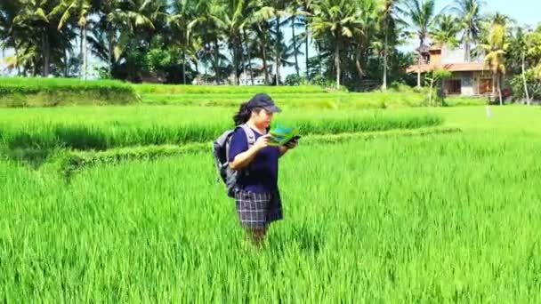 Aerial View Woman Backpack Walking Rice Field — Stock Video