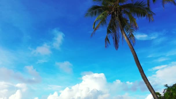 ヤシのシルエットを持つ青い空のビーチから見て インドネシアでの夏の休暇 — ストック動画