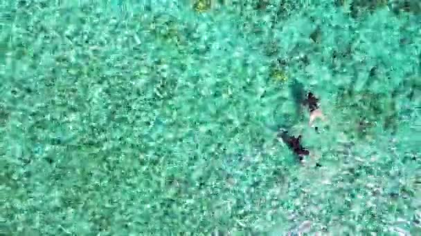 Туристы Наслаждаются Подводным Плаванием Морской Воде Природный Пейзаж Бали Индонезия — стоковое видео