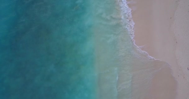 海岸のトップビュー ジャマイカ カリブ海の熱帯自然シーン — ストック動画