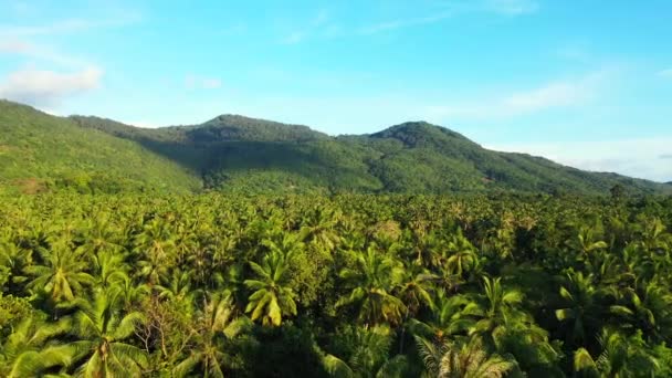 Gröna Berg Med Höga Palmer Resor Till Bora Bora Franska — Stockvideo